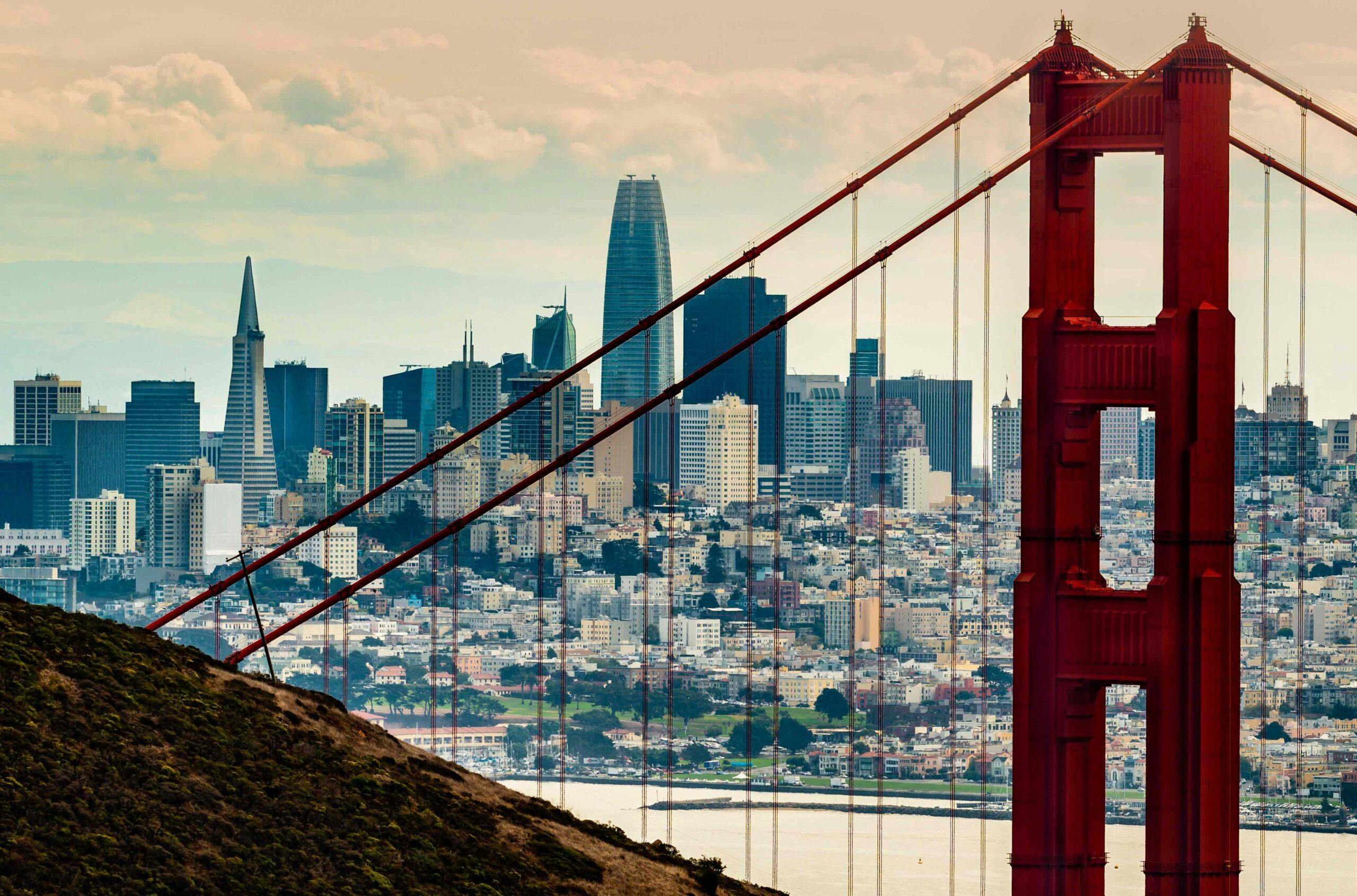 San Francisco decriminalizes psychedelics image