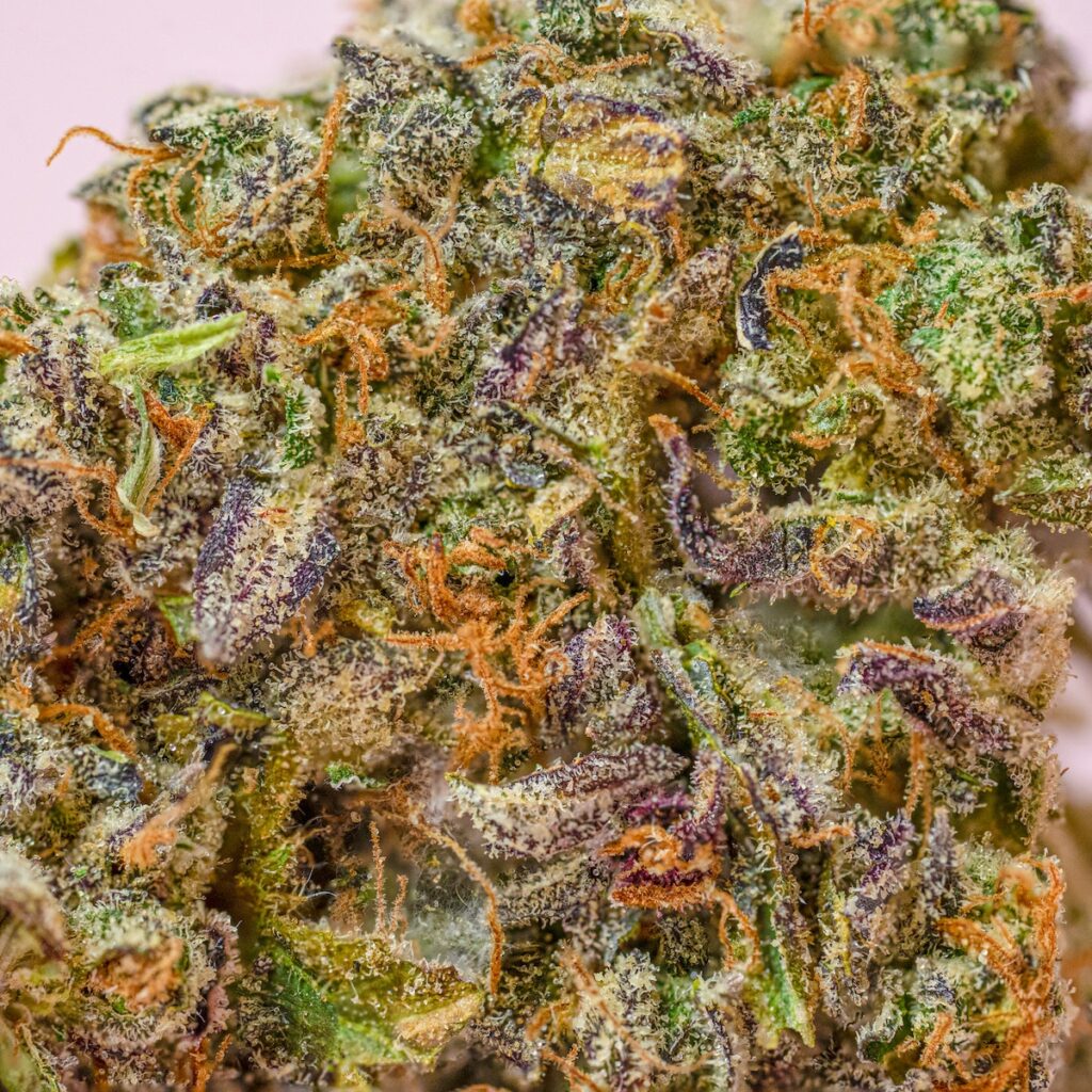 Unicornz. Sativa hybrid. (Courtesy THC Design)