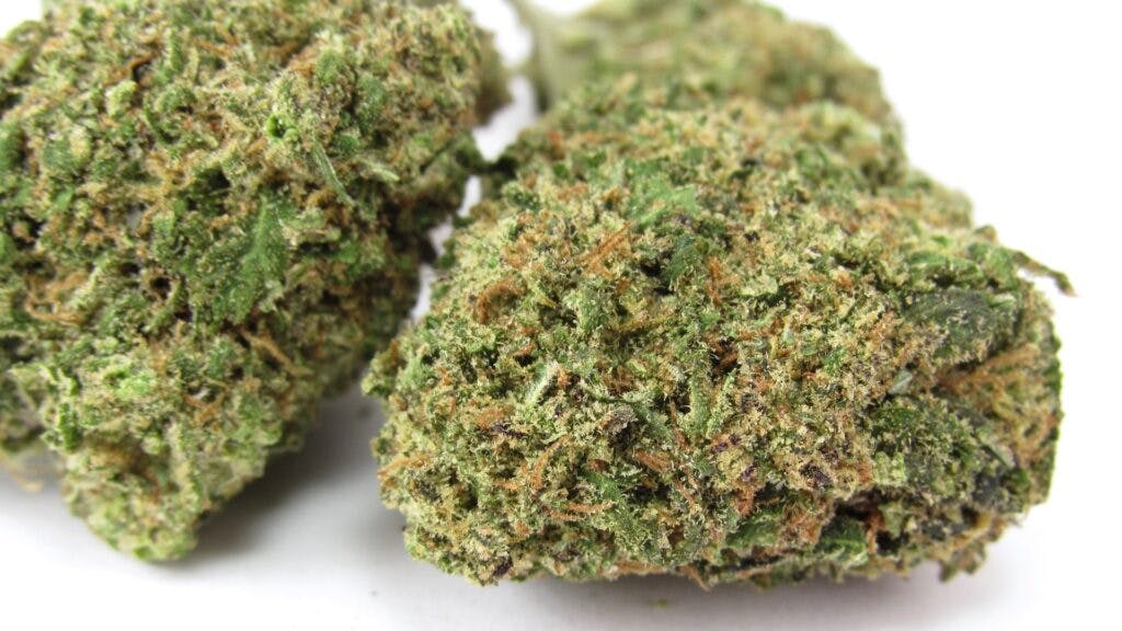 Buddha Hand grown at Esensia Gardens. (David Downs/Leafly)