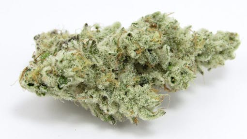 LA Made Cap Junky. (David Downs/Leafly)