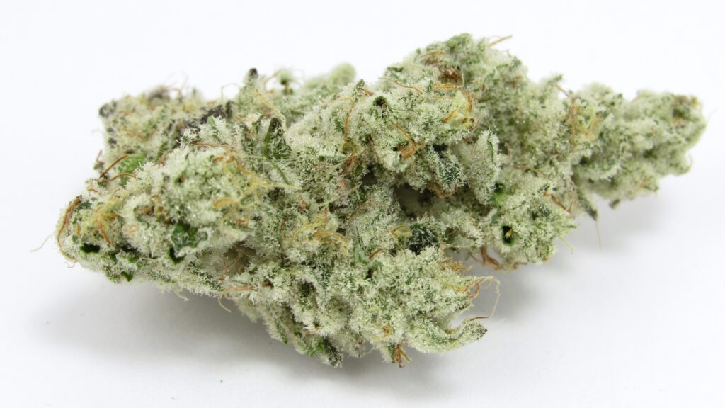 LA Made Cap Junky. (David Downs/Leafly)