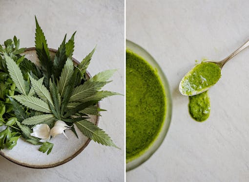 Photo of cannabis leaves, garlic, and herbs next to a photo of bright green chimichurri on a spoon
