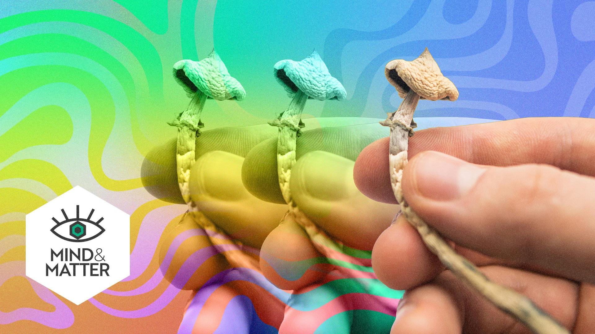 Can magic mushrooms really help with alcoholism? image