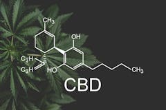 CBD molecule on dark background with cannabis leaves