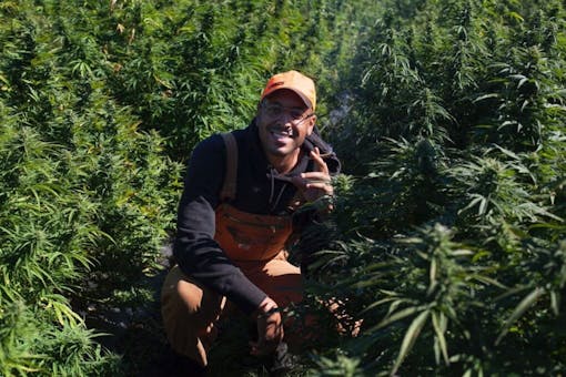 Damian Fagon, Chief Equity Office of New York's cannabis office, poses on his company's farm. (GullyBean Farms)