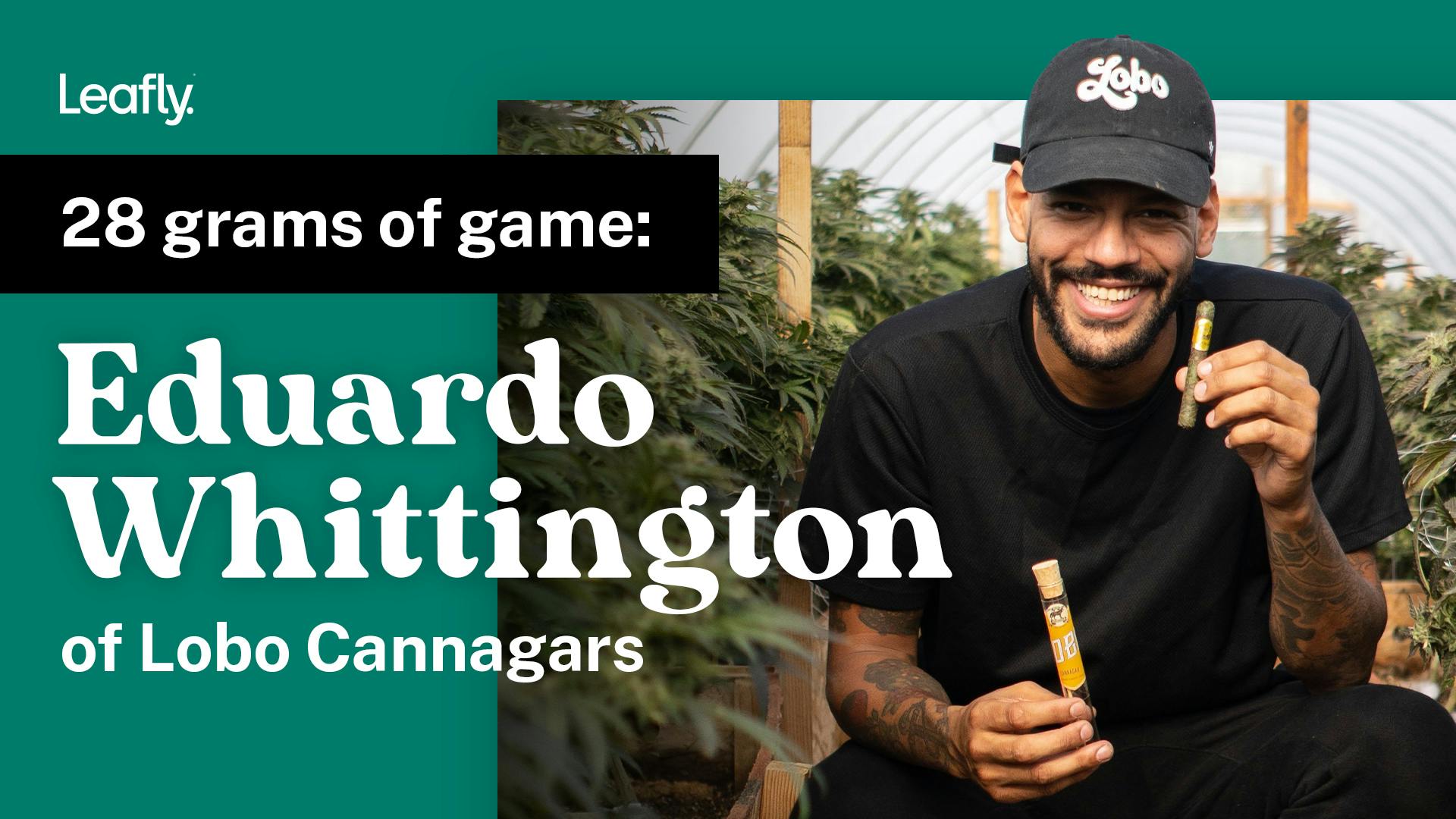 28 grams of game: Eduardo Whittington of Lobo Cannagars image