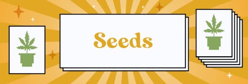 Grow some glue in your garden or tent this season. (Sasha Beck)