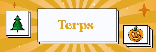 Glue terps hit pungent, piny, gassy, and chocolatey. (Sasha Beck)