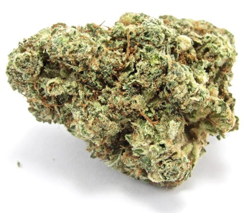 Often bloating – original glue up close. (David Downs/Leafly)