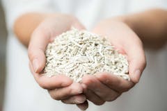 shreds of hempcrete in cupped hands