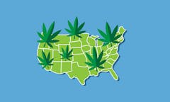 weed map United States