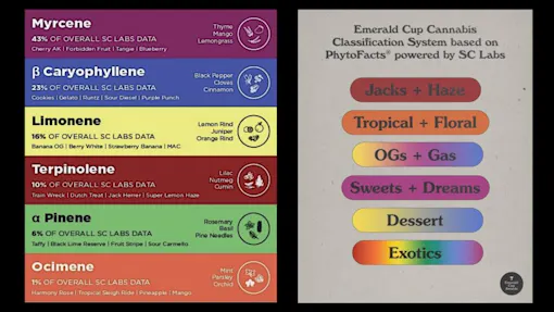 SC Labs and the Emerald Cup regrouped contestants into six new classes based on their terpene profiles. (SC Labs / The Emerald Cup)