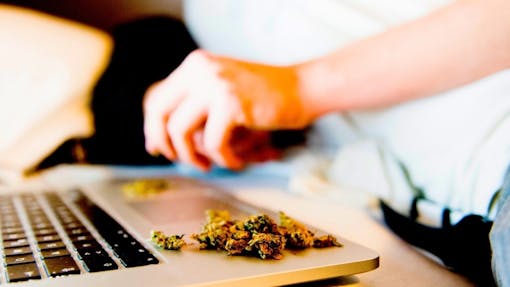 cannabis marketing computer