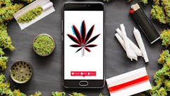 How to market cannabis on social media tiktok and instagram