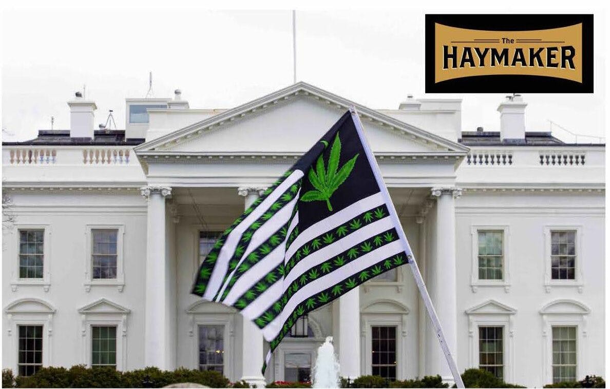 President Biden’s marijuana ‘review’ could be a deadly trap image