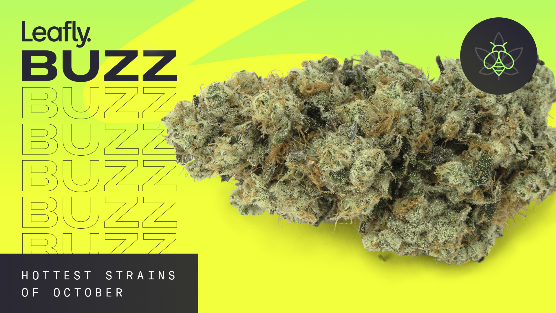 Leafly Buzz: 12 top cannabis strains of October