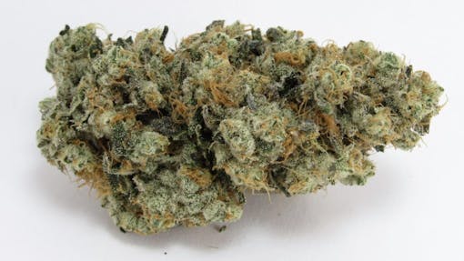O Face: Fig Farms cross GMO-OG. Indica hybrid. (David Downs/Leafly)