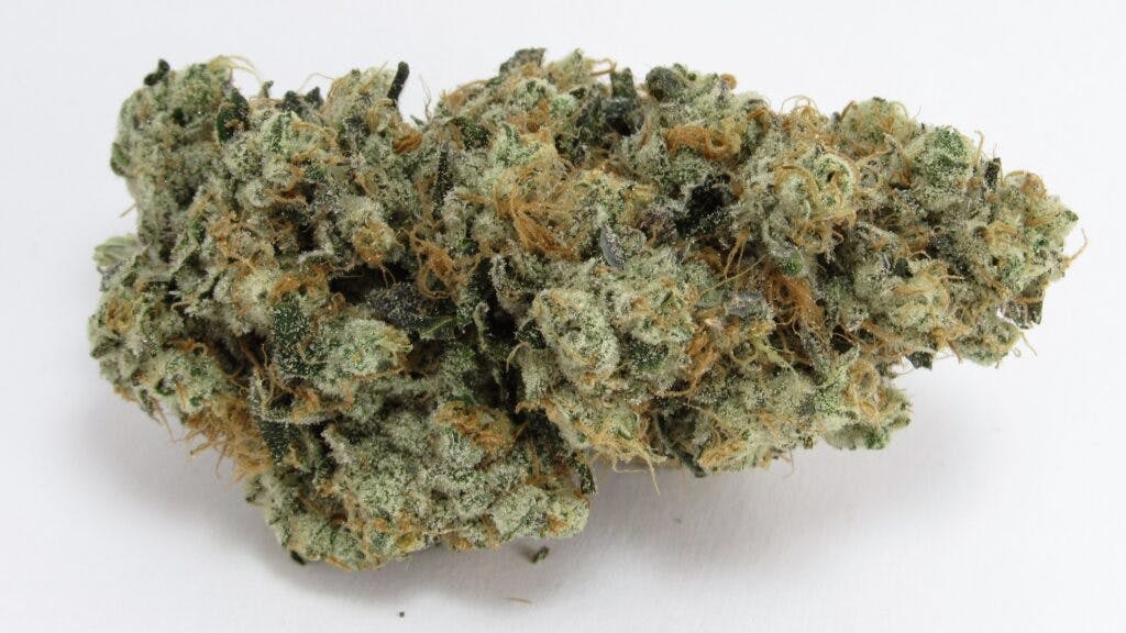 O Face: Fig Farms cross GMO-OG. Indica hybrid. (David Downs/Leafly)