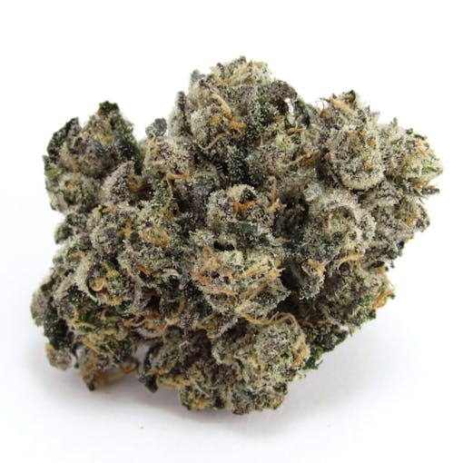 Eine perfekte Zimmerblume von Compound Genetics Jokerz. Indica-Hybride. Feigenfarmen aus eigenem Anbau. (David Downs)