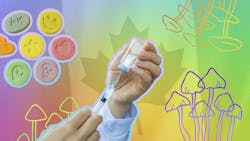 Are psychedelics legal in Canada? image