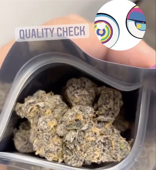 Mother Exotic Flower quality control check. (@_sakara / Instagram)