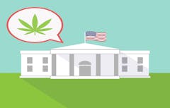 Illustration of the White House with a balloon and a marijuana leaf