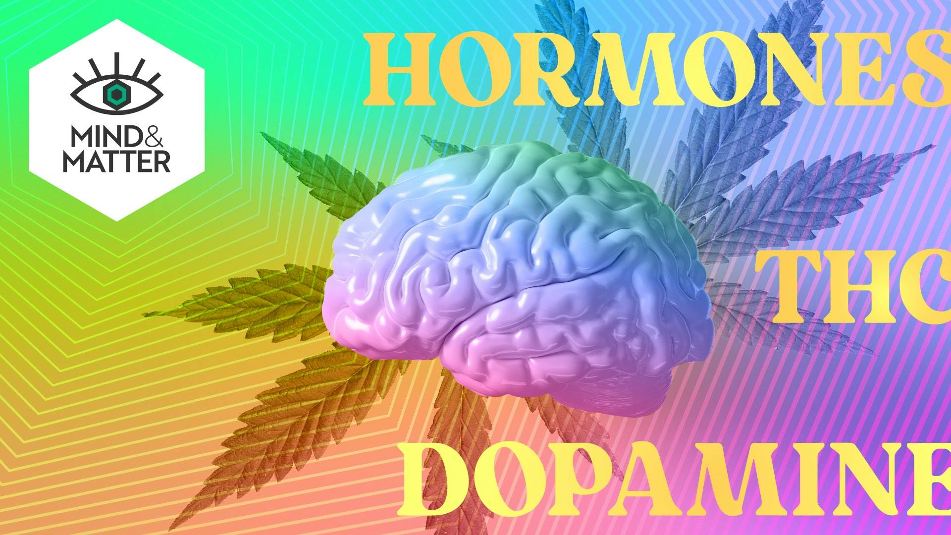 How does THC affect prenatal development? Leafly