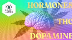 image-of-brain-and-weed-leaf