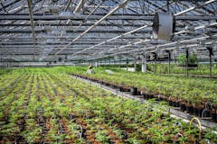 US cannabis farmers are producing more than 2,840 metric tons of marijuana each year. (Mike Rosati Photography for Leafly)