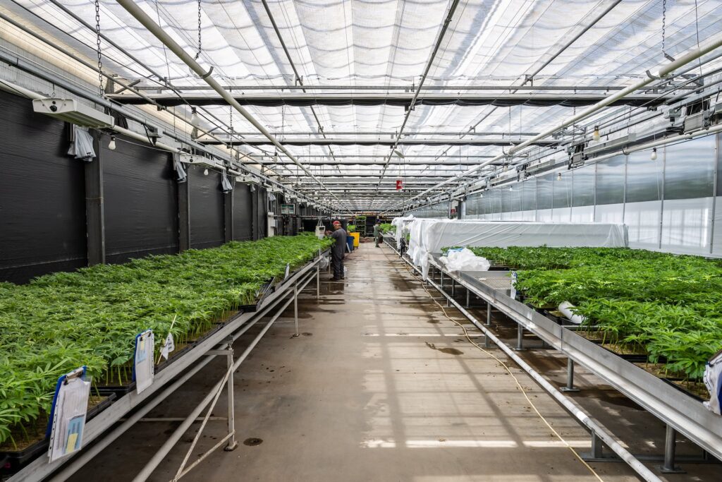 (Mike Rosati Photography)