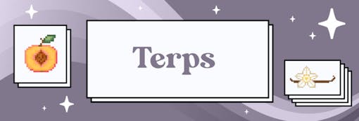 A terp triforce of zaza awaits.(Sasha Beck)