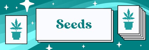 Get in the game with some Runtz seeds. (Sasha Beck)