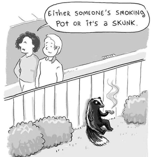 skunk weed cartoon