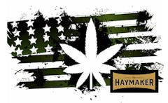 american-flag-with-cannabis-leaf-outline