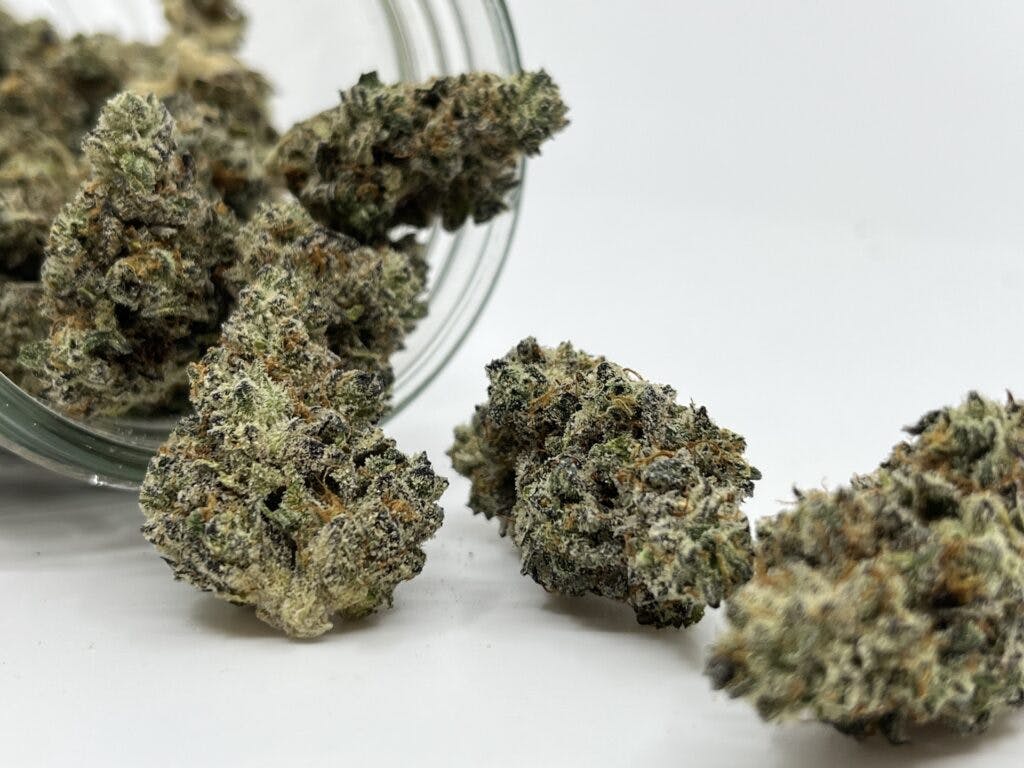 Alibi, OR Bue Truffle. Indica hybrid. (Courtesy Alibi)