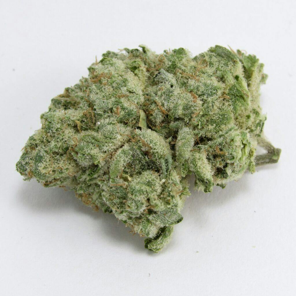 Alien Labs’ Agent X. Hybrid. (David Downs/Leafly)