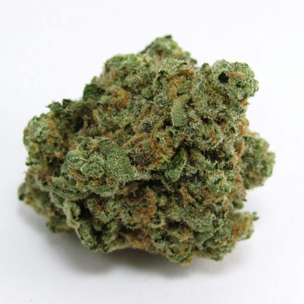 Lolo, CA-grown indoor Rainbow Belts. Hybrid. (David Downs/Leafly)