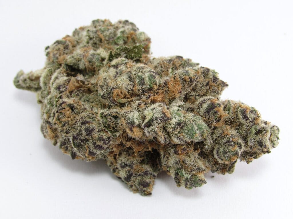 No boof found: Triple 7’s Superboof. (David Downs/Leafly)