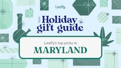 Blue background with green gifts and bongs reading "Leafly Holiday Gift Guide: Leafly's top picks in Maryland"
