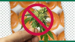 image-of-krispy-kreme-donuts