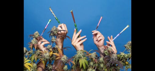 Cha Cha Chainz (Courtesy Stellaz)