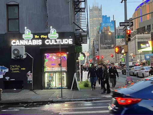 cannabis-culture-nyc-store