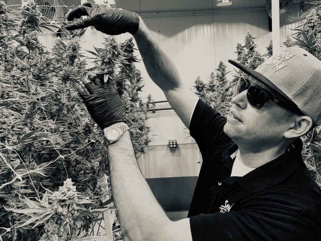 (David Downs/Leafly)