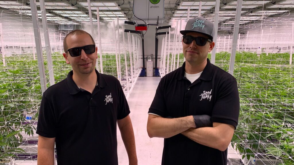 (David Downs/Leafly)