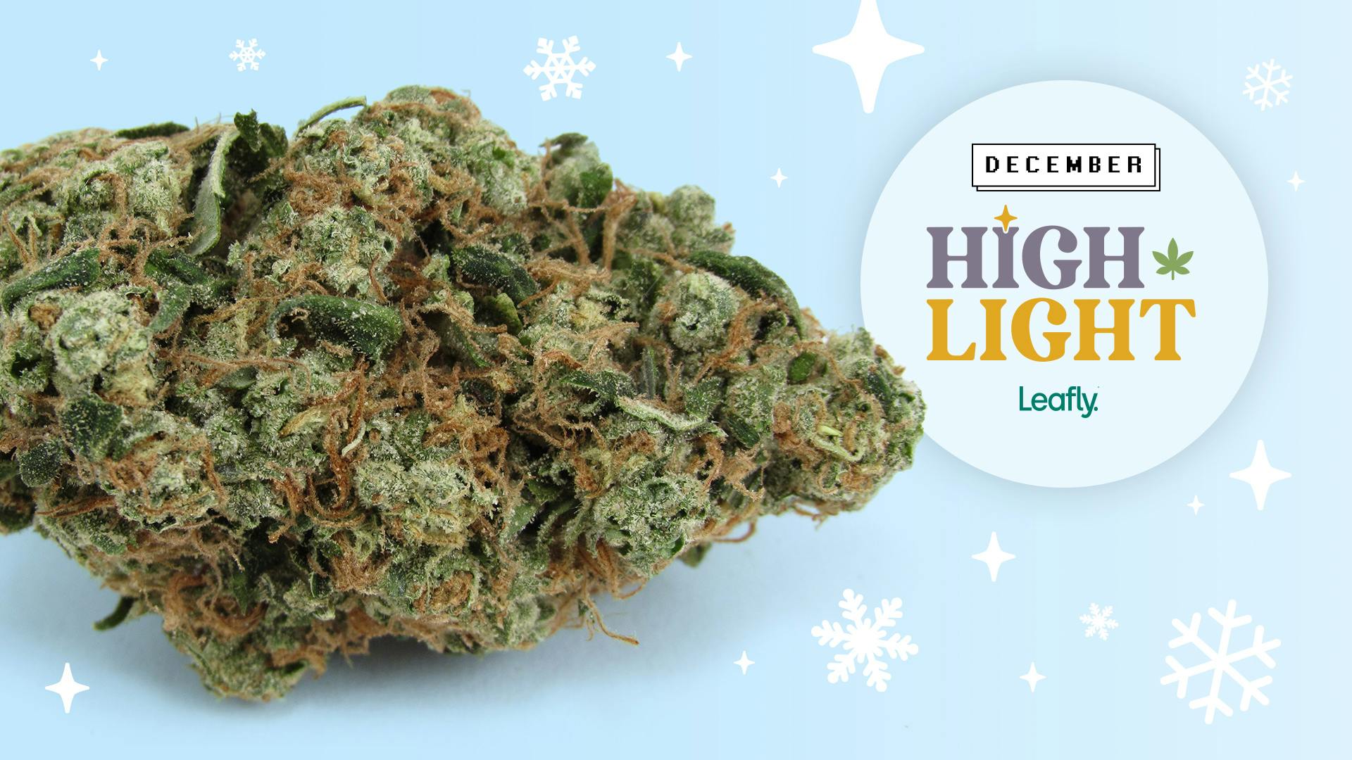 Fuel up for NYE with Sour Diesel—December's Leafly HighLight image