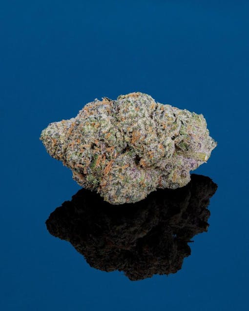 Madison Square Gumbo. (Courtesy Cookies)