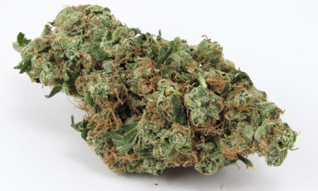 Uncle Jesse's East Coast Sour Diesel. (David Downs/Leafly)