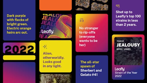 SOTY22 winner notes (Leafly)