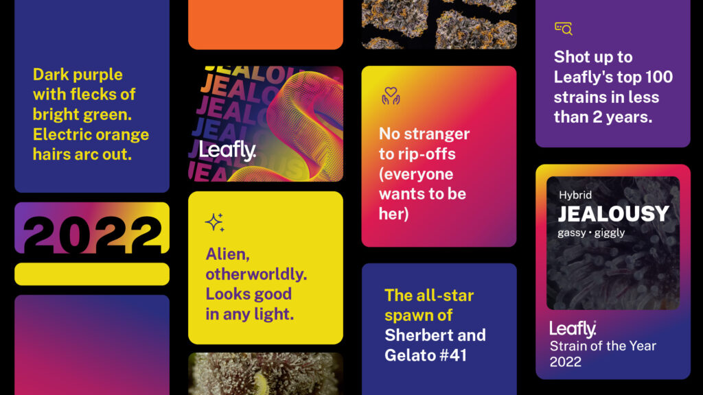 SOTY22 winner notes (Leafly)