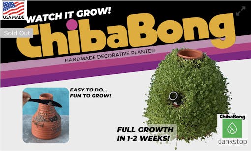 chiba-chia-bong-photo